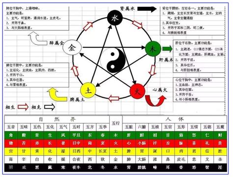 天干屬性|第17課十天干顏色、陰陽、五行方位、屬性、轉換關係等（珍藏。